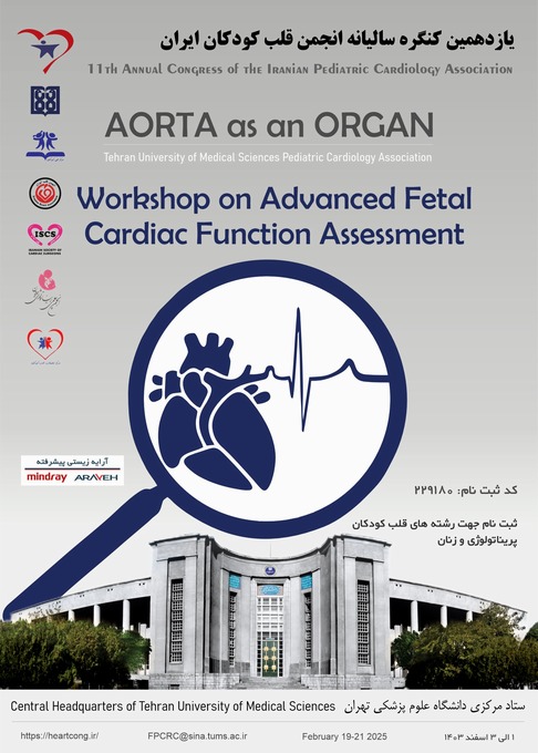 Workshop on advanced fetal cardiac function assessment